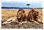 Pride of Lion-NFT-s